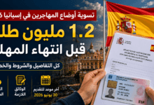 تسوية أوضاع المهاجرين في إسبانيا بعد وصول الطلبات إلى 1.2 مليون طلب قبل انتهاء المهلة الرسمية